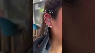 Luxury Conch Piercing