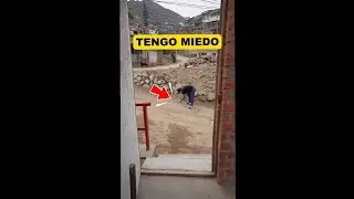 COMO HACER FUEGOS ARTIFICIALES CASERO 🎆