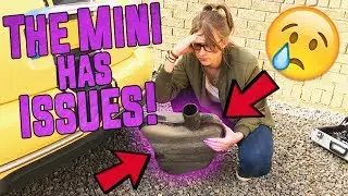 The Mini Has Some Issues!