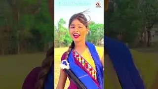 hum hai kattar chamaran #kattar chamran #chamar_song  #reactionvideo #dance #song