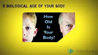 Body Fat and Body Age Analysis