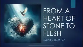 From a Heart of Stone to Flesh | Ezekiel 36:26-27