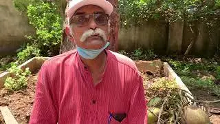 How I protected my Steel Shade from Falling Coconuts?