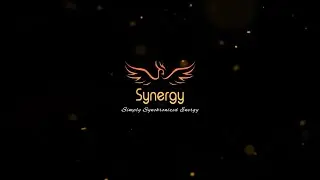Synergy's Annual Team Meeting 2020 - Teaser