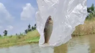 Machhali pakdate time bahut maja a Gaya ll new vlog video ll #fishing 