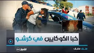 لن تصدق أين تم العثور على المخدرات لدى رعية إفريقي بعد مداهمة هوليوودية .. 