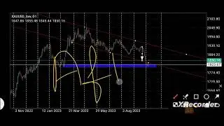 Gold Daily Forcast  #crypto #trading #Gold #leranearnfx #millionaire #online #tradingchartanalysis