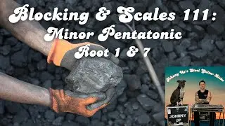 Let's talk about the most common minor pentatonic scale for pedal steel guitar