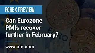 Forex Preview: 20/02/2023 - Can Eurozone PMIs recover further in February?