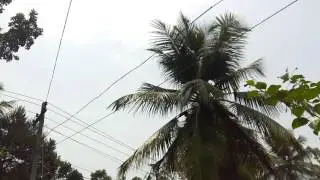 Coolpad Note 3 plus Camera Sample 1080p Full-HD