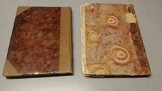 The Rare Book Collection & Dr. Michael D. Paul Rare Books Initiative