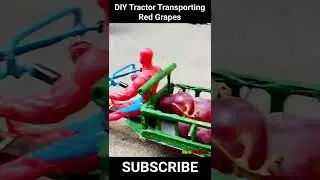 DIY Mini tractor transporting red grapes | Science project #miniproject