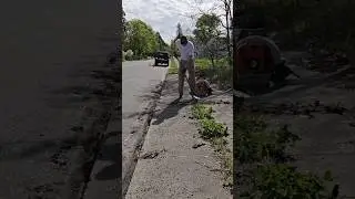 Quick Sidewalk Cleanup 😌 #satisfying #lawncare #cleaning