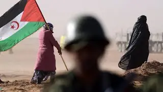 W. Sahara &lsquo;does not belong&rsquo; to Morocco, says Polisario Front, blasting Trump declaration