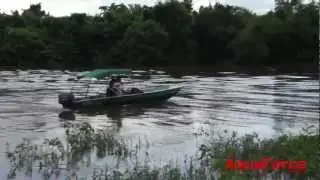 TESTE DRIVE BARCO AQUAFORCE APAIARI 600 COCKPIT HD