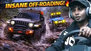 INSANE OFF ROADING IN FORZA HORIZON 5 😱 | Logitech G29 Steering Wheel