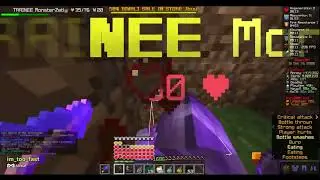 Montage ItzzZyro kingsmp.net