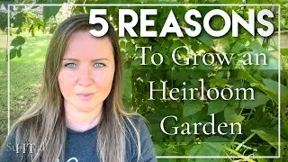 5 Reasons to Grow an Heirloom Garden