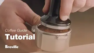 The Barista Express&reg; | How to tamp and trim your coffee grounds evenly | Breville PH