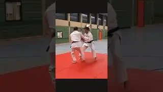 Finte in Judo/Финт: Ложная Атака и Реальный Бросок в Дзюдо.../#NageWaza#TaniOtoshi#ДзюдоБроски