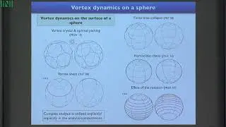 CATW02 | Prof. Takashi Sakajo | Vortex dynamics on the surface of a torus