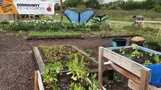 Virtual Tour of the Kroger Community Kitchen Garden