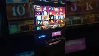 Wild Firefly Max Bet Slot Bonus @WinstarWorldCasino