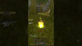 ScorpidTV SoloSelfFound level 4