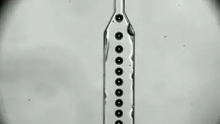 gas in liquid in liquid double emulsion bubbles