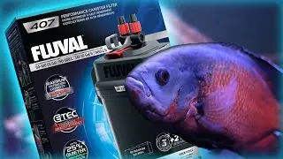 Настройка и обзор канистрового фильтра Fluval 407