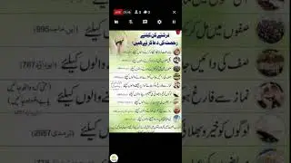 Learn Quran | Quran teaching for beginners, women, kids with Tajweed, Translation | Tilawat Quran