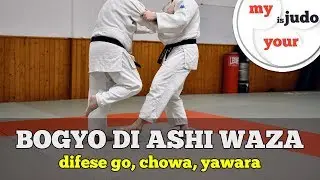 Tecniche di Judo: Bogyo di Ashi Waza