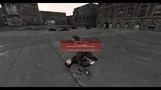 Терминатор и Френдли фаер - REVENGE RP