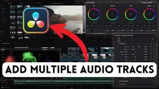 How to Add Multiple Audio Tracks in DaVinci Resolve 2025?