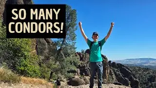 Seeing California Condors on the High Peaks Trail | POV Hike in Pinnacles National Park