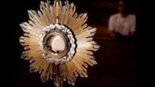 18th Sunday of Ordinary Time 2015 by Fr  Michael DePalma