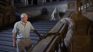 Nature Museum Alive With David Attenborough PREVIEW