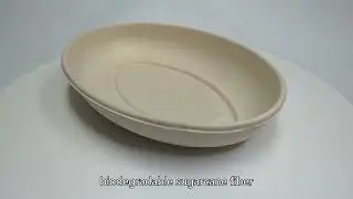 Biodegradable food container,Bagasse food container,Chinese Factory,High Quality