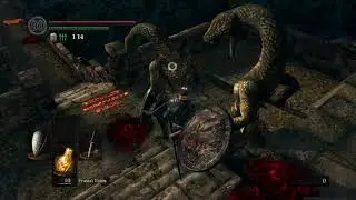 Dark Souls Players Reflexes