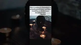 Wonderful Life 💫💫 changing Buddha quotes🔥🔥#shorts#daily#buddha#thoughts#encouraging#peace#relaxing