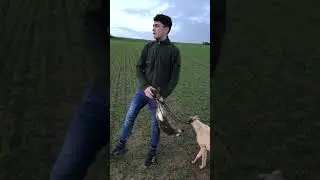 Kim hare coursing January