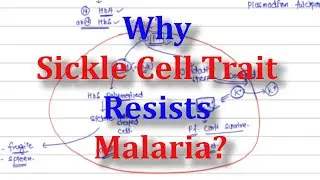 Why Sickle Cell Trait Protects Against Malaria | Biochemistry Explained