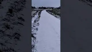 Trail in the snow.(7) #mountainbike #bike #winter #nature #cold