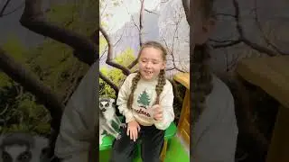 ЗВІРОПОЛІС Blockbuster Mall