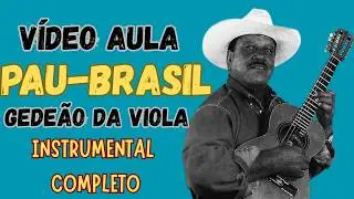 Vídeo aula 