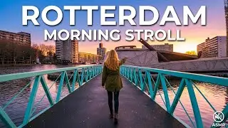 Morning Stroll in a Gorgeous Rotterdam Neighborhood | Relaxing ASMR Walking Tour [No Talking]