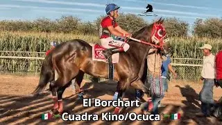 Borchart C KINO/OCUCA vs Chamuco C Morita vs N&oacute;mada C Fresno/0102 l Maturity Cl&aacute;sico del Fresno 2023