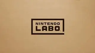 Second Look at Nintendo Labor