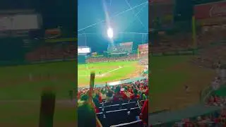 😍Yeeeeaaa&hellip;Hiroshima Carp Japan 💕🎊💕🎊💕🎊💕🎊💕🎊💕