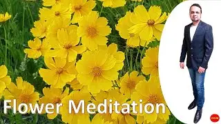 Flower-Beautiful Relaxing Music for Stress Relief Meditation Music, Sleep Music, Ambient Study Music